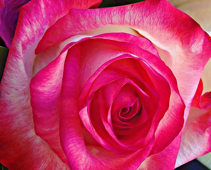 "fleur rose macro." başlıklı Tablo Divine Kanza tarafından, Orijinal sanat, Diğer