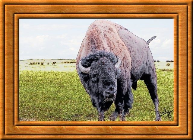 Картина под названием "Buffalo Stands" - David Daly, Подлинное произведение искусства