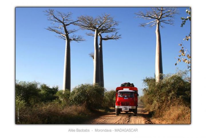 Fotografie mit dem Titel "Allée Baobab Morond…" von Eric Boyaval, Original-Kunstwerk
