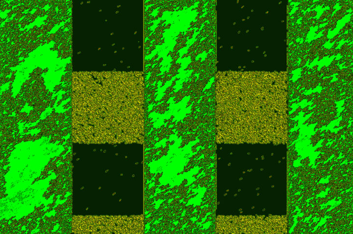Digitale Kunst mit dem Titel "Green Art (Green St…" von Dolu, Original-Kunstwerk, Digitale Malerei