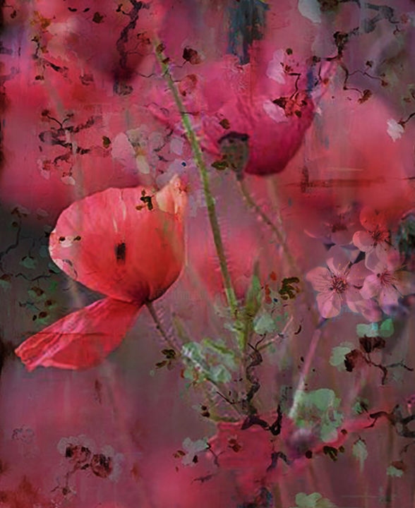 Digital Arts με τίτλο "Red Poppy Flowers D…" από Dodi Ballada, Αυθεντικά έργα τέχνης, Ψηφιακή ζωγραφική