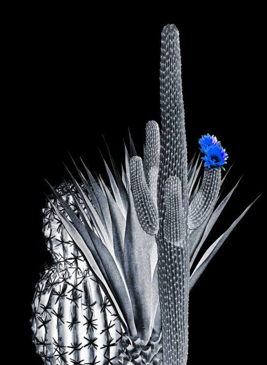 Digital Arts titled "Cactus" by Dodi Ballada, Original Artwork