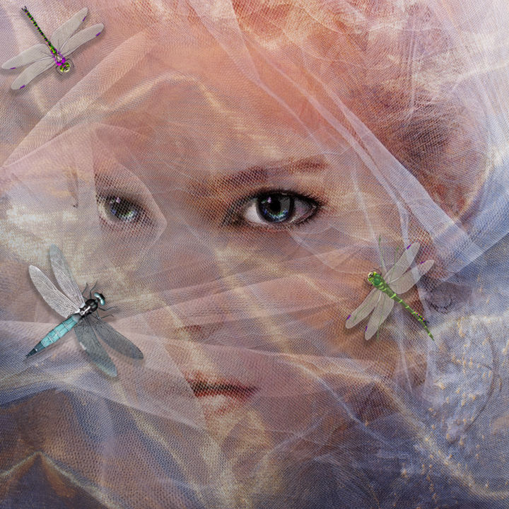 Photography titled "dragonfly bliss" by Dodi Ballada, Original Artwork, Manipulated Photography