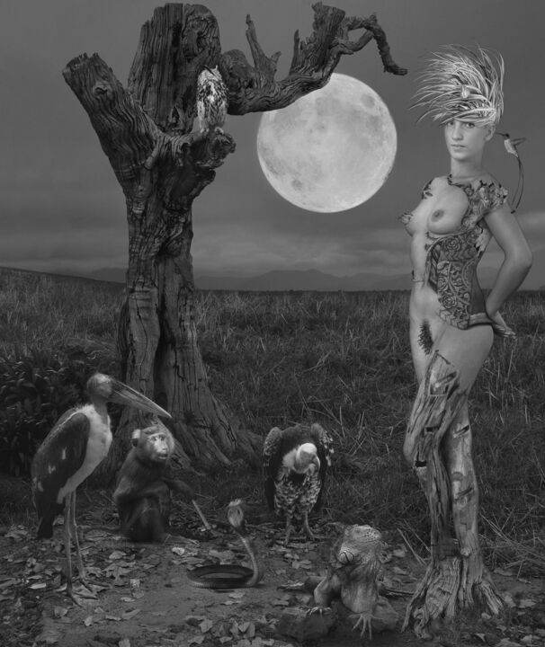 Fotografía titulada "Moonrise over Primo…" por Dominic Rouse, Obra de arte original, Fotografía manipulada