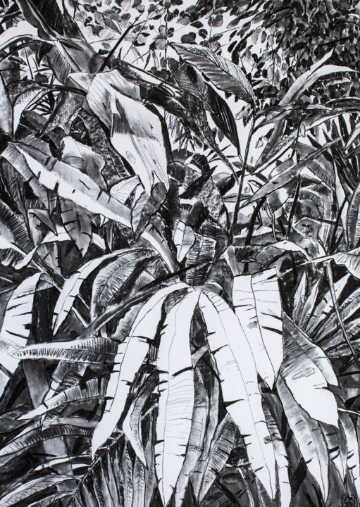 Tekening getiteld "Thick Jungle" door Dominic Virtosu, Origineel Kunstwerk, Houtskool