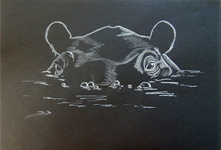 Dessin intitulée "hippo-sous-l'eau." par Dominique Blondel, Œuvre d'art originale, Crayon