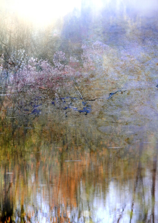 Photographie intitulée "Brume, étang 2" par Dominique Comolet, Œuvre d'art originale, Photo montage