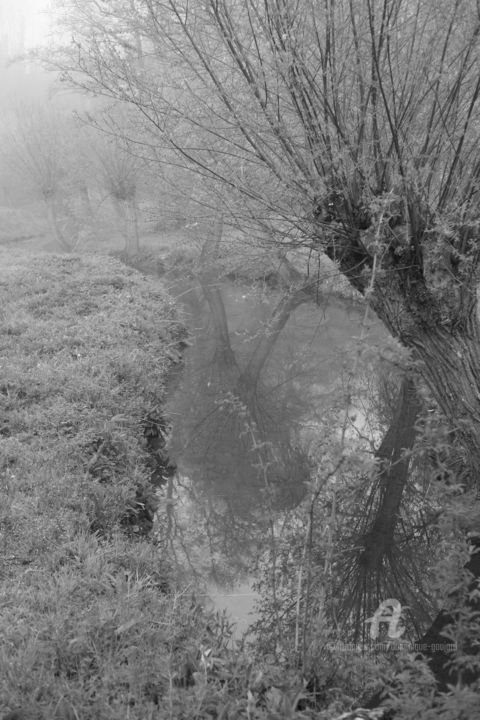 Photographie intitulée "8644 ruisseau" par Dominique Goujard, Œuvre d'art originale
