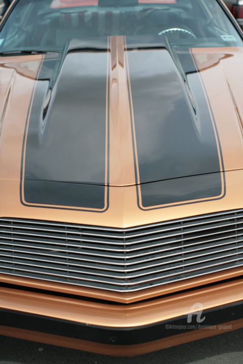 「8708 voiture améric…」というタイトルの写真撮影 Dominique Goujardによって, オリジナルのアートワーク