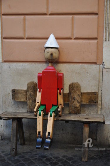 Photography titled "PINOCCHIO" by Dominique Goujard, Original Artwork