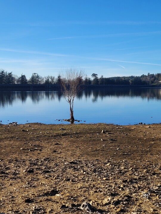 Photography titled "Arbre d'eau solitai…" by Dominique Guillaume, Original Artwork, Digital Photography