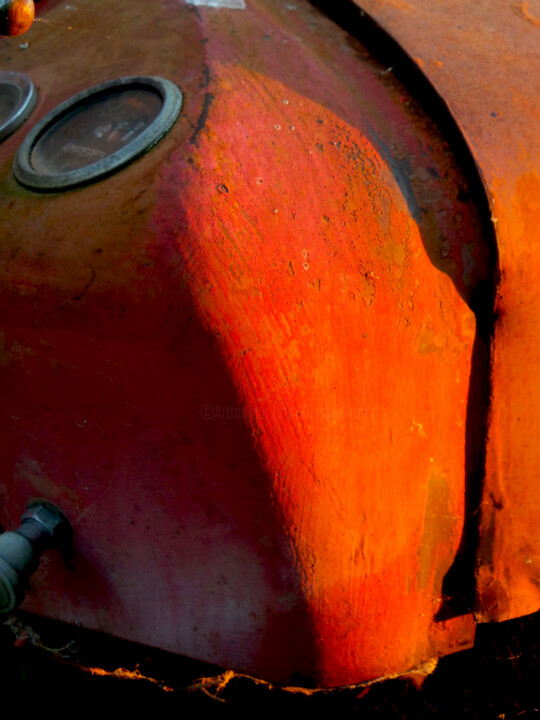 Photographie intitulée "Patrouille de genda…" par Dominique Leroy, Œuvre d'art originale