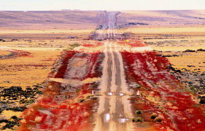 Photographie intitulée "Route Ushuaïa Patag…" par Dominique Leroy, Œuvre d'art originale