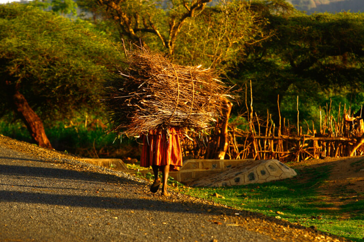 "Ethiopie; vallée de…" başlıklı Fotoğraf Dominique Leroy tarafından, Orijinal sanat