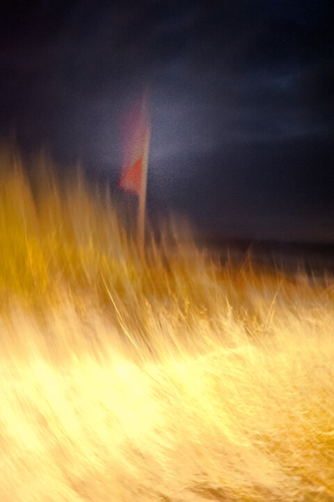 Photographie intitulée "envolée nocturne" par Dominique Petrel, Œuvre d'art originale