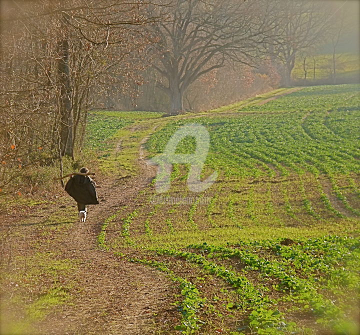 Photographie intitulée "Promenade dans les…" par Dominique Sandor, Œuvre d'art originale