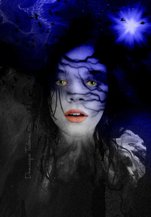 Digital Arts titled "Ensorcelée" by Dominique Taïbouni, Original Artwork, Photo Montage