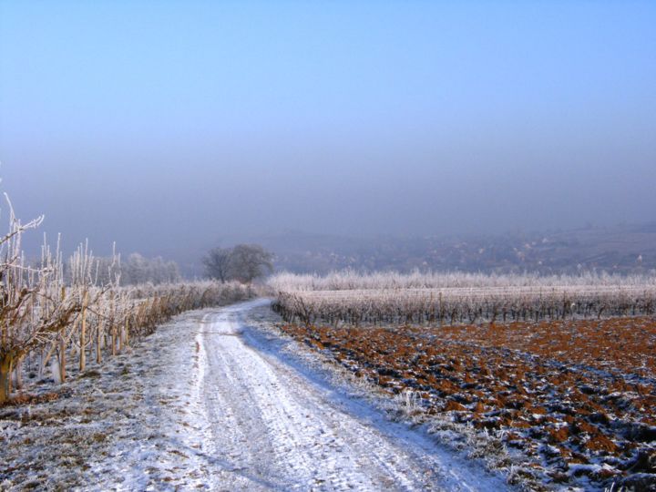 摄影 标题为“bleus d'hiver” 由Dominique Missler, 原创艺术品, 数码摄影