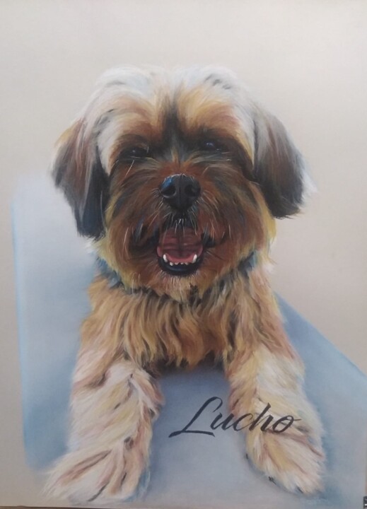 Peinture intitulée "LUCHO" par Donabatar, Œuvre d'art originale, Pastel Monté sur artwork_cat.