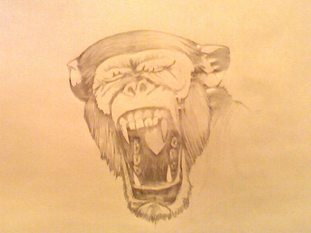 Drawing titled "screaming chimp" by Dony Grella, Original Artwork
