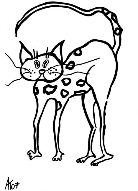 Drawing titled "Cat Mint" by Adelia Turnbull, Original Artwork