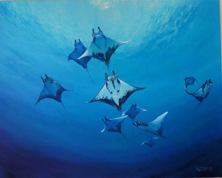 Painting titled "Manta rays" by Dorota Czapska D, Original Artwork, Oil