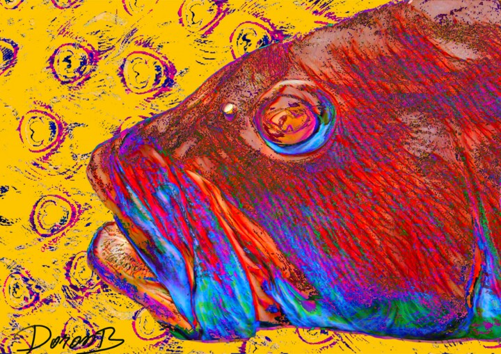Photographie intitulée "Tête de poisson sur…" par Doron B, Œuvre d'art originale, Photographie manipulée