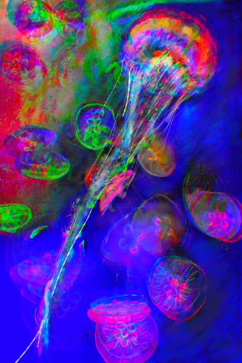 Arts numériques intitulée "Une méduse bien col…" par Doron B, Œuvre d'art originale, Peinture numérique