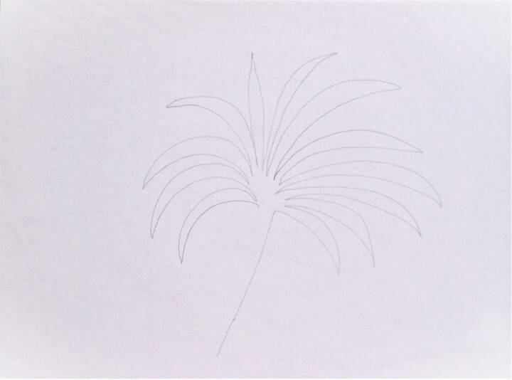 Tekening getiteld "o.T. (palmier)" door Dorothea Breit, Origineel Kunstwerk, Potlood