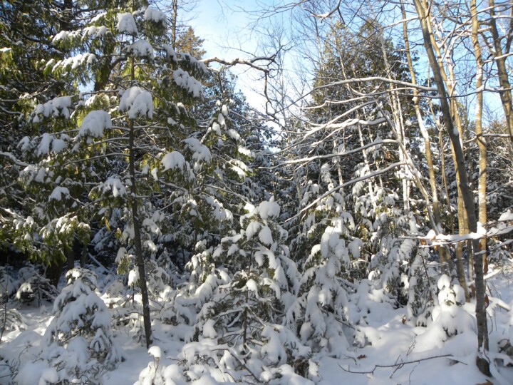 Fotografie getiteld "Snowy Landscape Min…" door Doug Dunigan, Origineel Kunstwerk, Digitale fotografie