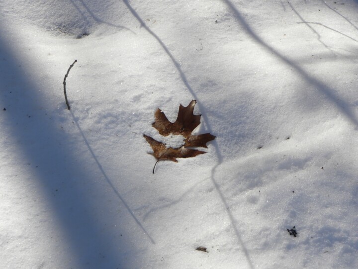 Photographie intitulée "Oak Leaf With Snow" par Doug Dunigan, Œuvre d'art originale, Photographie numérique
