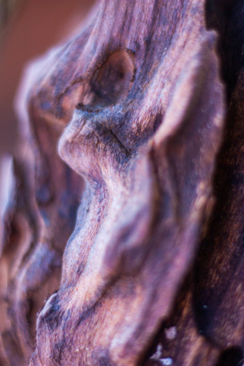 Fotografie getiteld "Wood Texture" door Douglas Delgado, Origineel Kunstwerk
