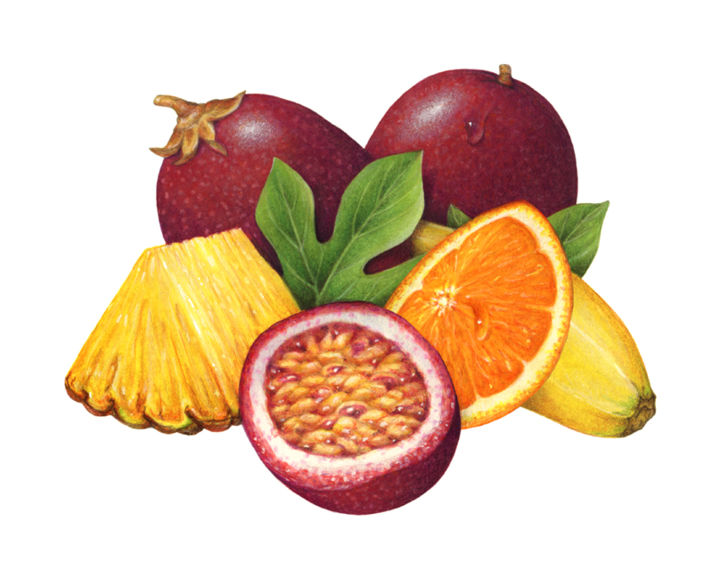 Painting titled "Passion Fruit, Pine…" by Douglas Schneider, Original Artwork, Watercolor