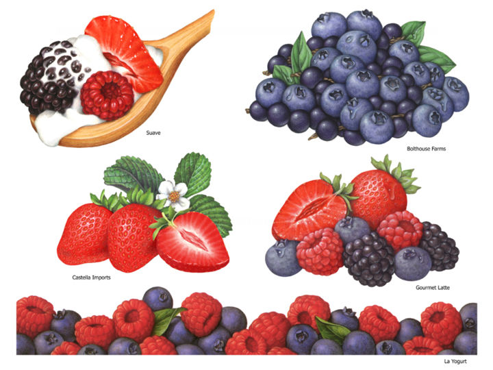 Painting titled "Various Berry Illus…" by Douglas Schneider, Original Artwork, Watercolor