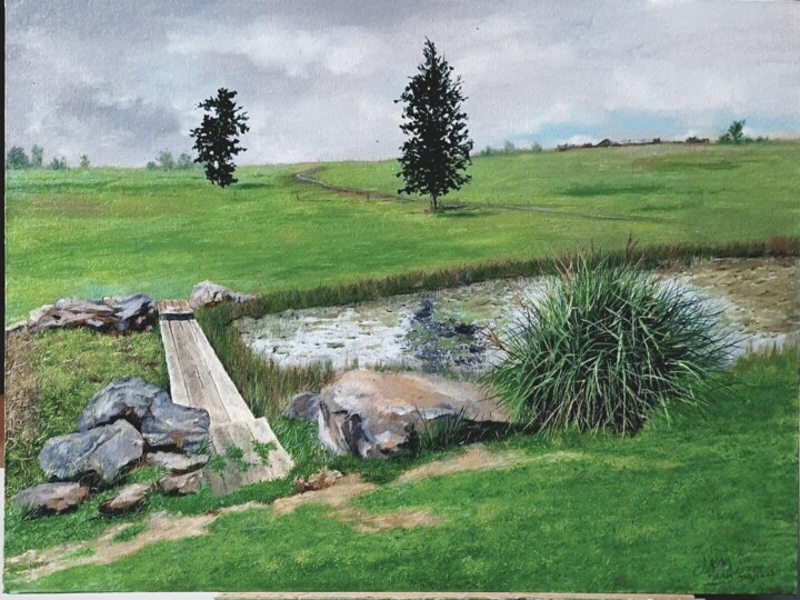 Painting titled "Meadows" by Dr Jahangeer Aslam Makhdoomi, Original Artwork, Oil