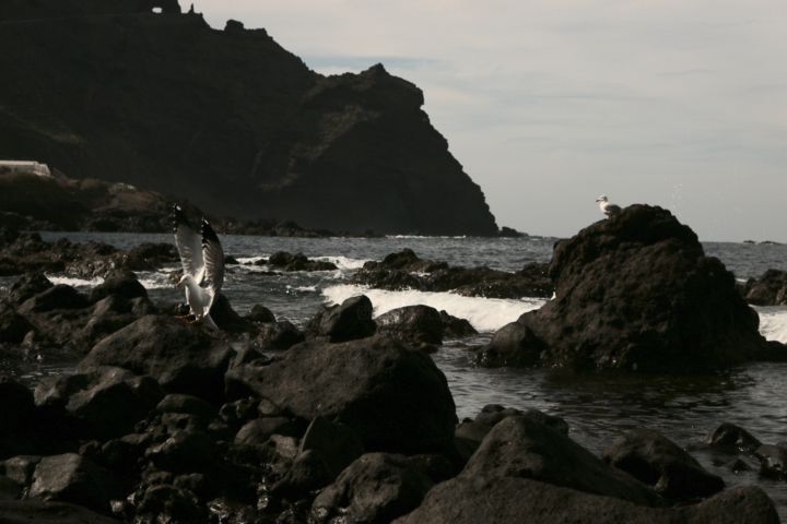 Photographie intitulée "Aterrizaje.jpeg" par Marcos Baute, Œuvre d'art originale