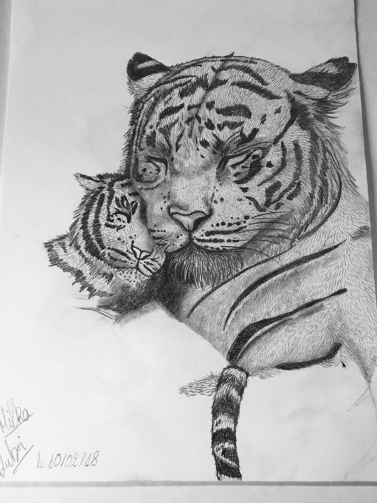 Tigre De Sibérie, Dibujo por duboismilka | Artmajeur