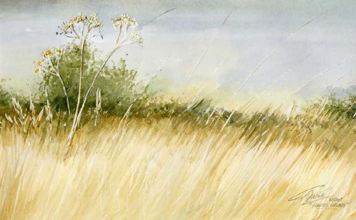 Hautes Herbes Peinture Par François Duterte Artmajeur