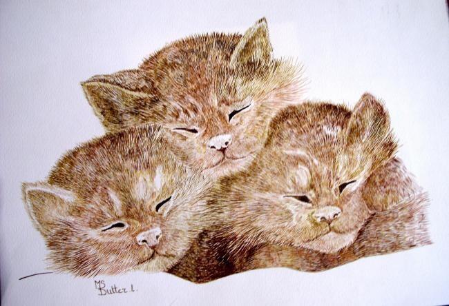 Peinture intitulée ""Cuchon" de chats" par Monique Dutter-Lemierre, Œuvre d'art originale