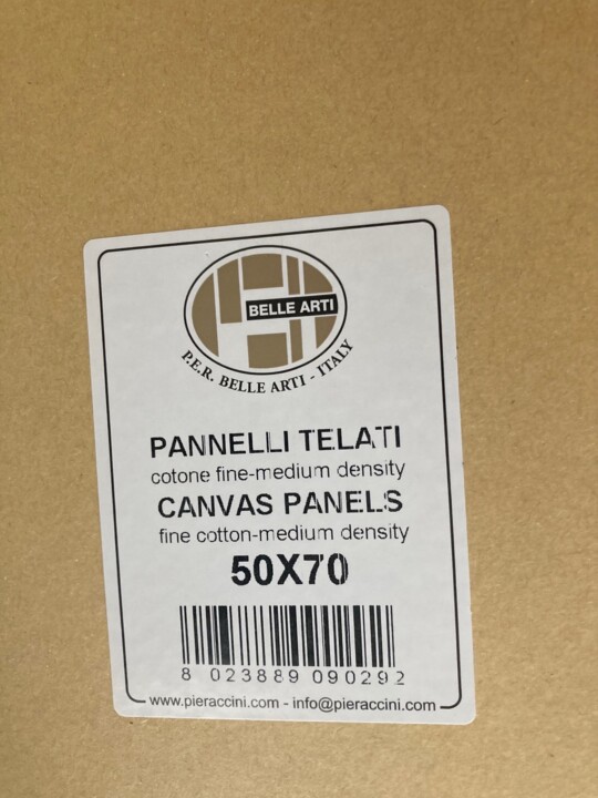 Panelli Canvas Panels Telati 9 x 12 (Pack of 4)