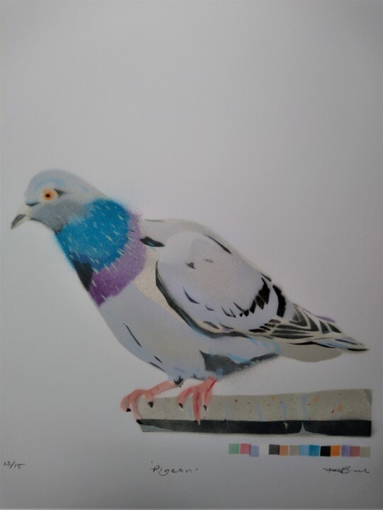 Peinture intitulée "'Pigeon' - Signed L…" par Dylan Bell (Bells Galleries), Œuvre d'art originale, Bombe aérosol