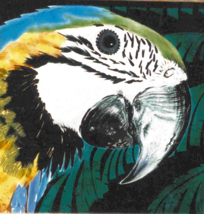 Sculpture titled "macaw.jpg" by Dy Witt, Original Artwork