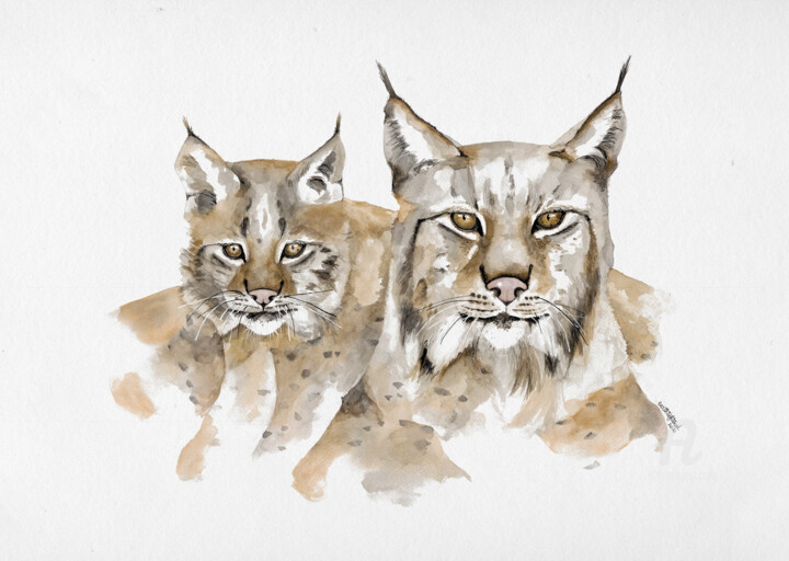 Malerei mit dem Titel "Lynx d'Europe" von Earthlightened, Original-Kunstwerk, Aquarell