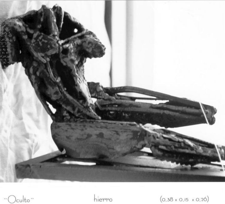 Sculptuur getiteld "Oculto" door Paula Echarren, Origineel Kunstwerk