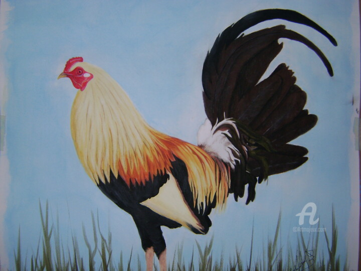 Dessin intitulée "Gallo giro" par Edgar Pacheco, Œuvre d'art originale, Pastel
