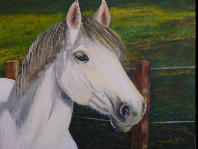 Malerei mit dem Titel "Pony" von Edith Schroll, Original-Kunstwerk, Öl