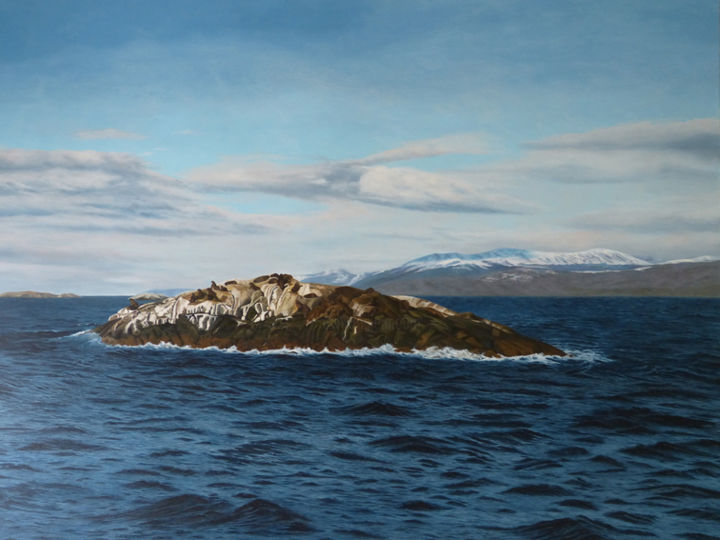 Pintura intitulada "patagonia" por Edna Schonblum, Obras de arte originais, Óleo