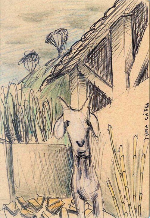 Dessin intitulée "Une chèvre / Uma Cà…" par Edouard Leruste, Œuvre d'art originale, Autre