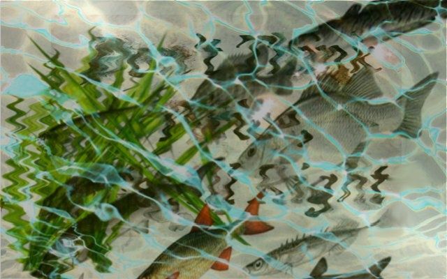 Digital Arts titled "Under water vol.2" by Emilia, Original Art,