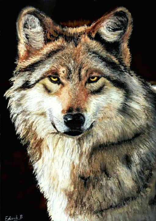 Drawing titled "Wolf" by Eduardo Benito, Original Artwork, Pastel